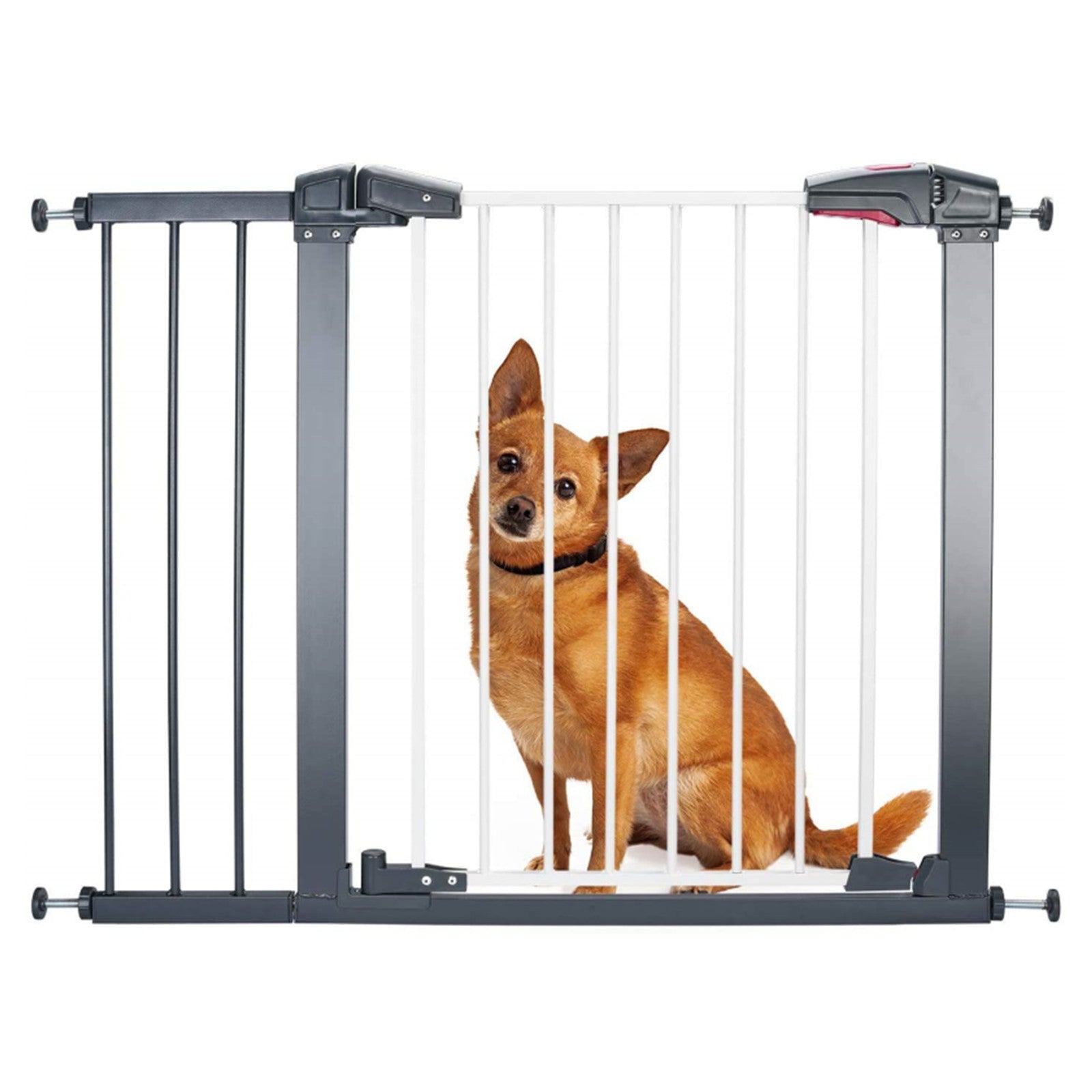 baby-safety-gate-pets